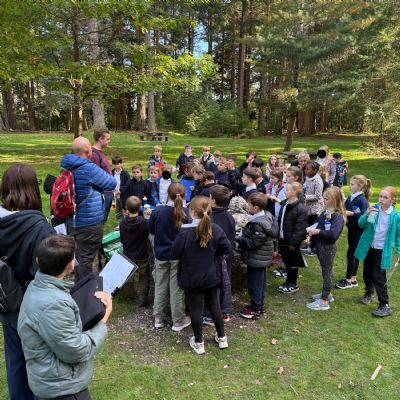 Year 5 Bolderwood Trip